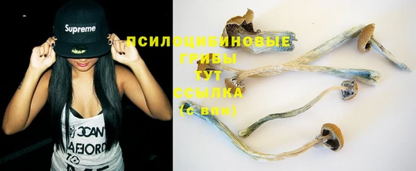 бошки Чекалин
