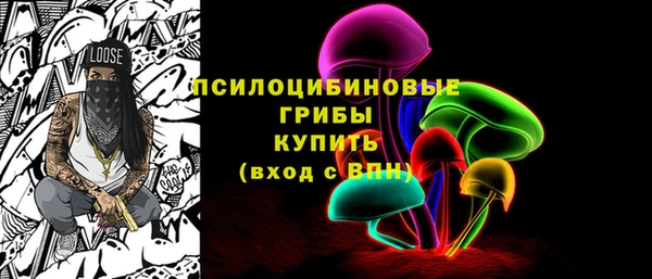 метадон Елизово