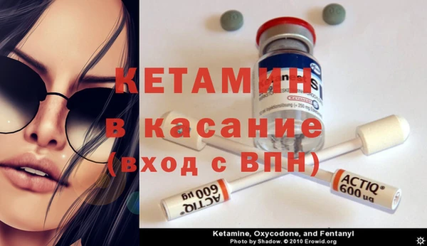 сатива Заводоуковск