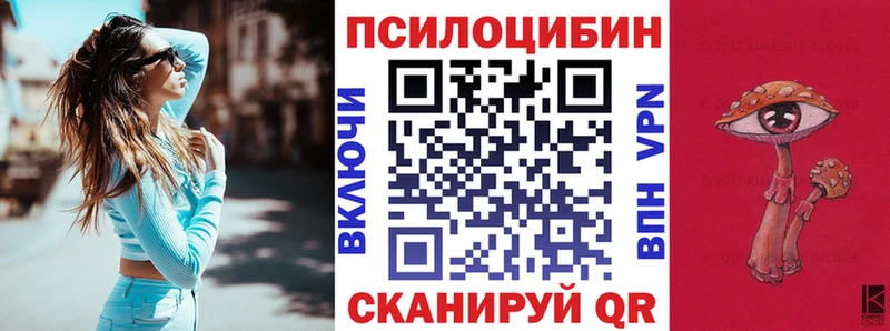 mega как войти Соль-Илецк Галлюциногенные грибы Psilocybe купить наркоту