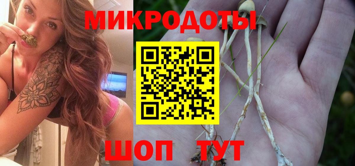 Псилоцибиновые грибы Magic Shrooms  Псилоцибиновые грибы Psilocybine cubensis  где купить наркотик  Вход с VPN  Соль-Илецк 